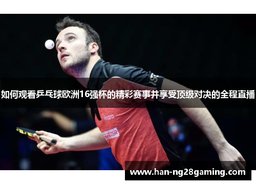 如何观看乒乓球欧洲16强杯的精彩赛事并享受顶级对决的全程直播