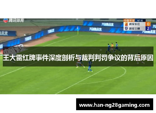 王大雷红牌事件深度剖析与裁判判罚争议的背后原因